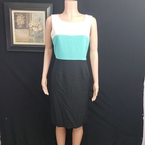 BLACK LABEL Black White Gree Dress Size 10
